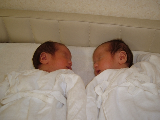 夢占い「双子の赤ちゃん」 に関する夢の診断結果