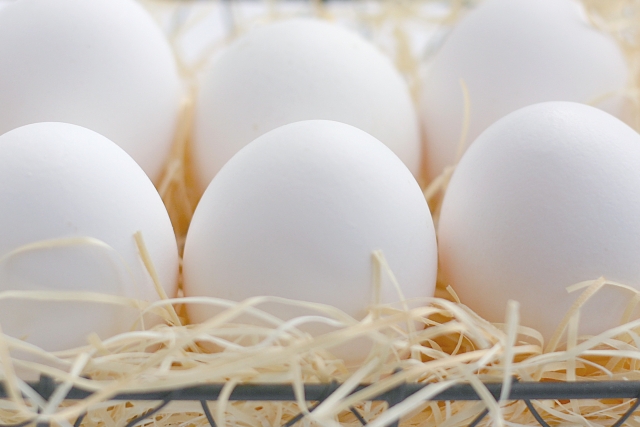 「卵」に関する夢占いの診断結果一覧